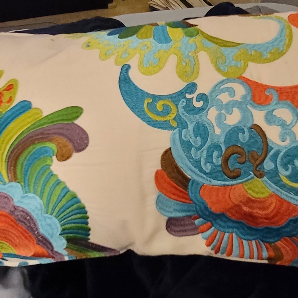 Pier 1 Multicolor Embroidered Pillow